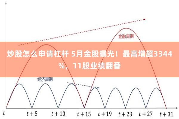 炒股怎么申请杠杆 5月金股曝光！最高增超3344%，11股业绩翻番