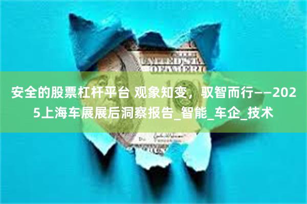 安全的股票杠杆平台 观象知变，驭智而行——2025上海车展展后洞察报告_智能_车企_技术