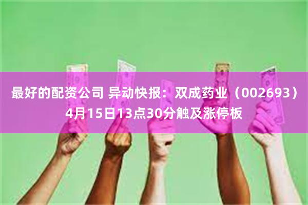 最好的配资公司 异动快报：双成药业（002693）4月15日13点30分触及涨停板