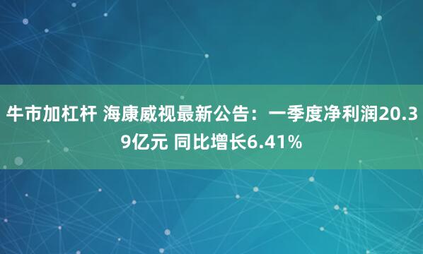 牛市加杠杆 海康威视最新公告：一季度净利润20.39亿元 同比增长6.41%