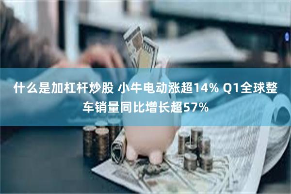 什么是加杠杆炒股 小牛电动涨超14% Q1全球整车销量同比增长超57%
