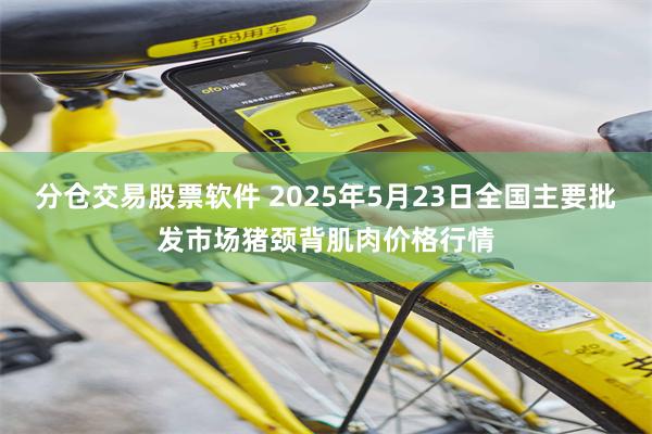 分仓交易股票软件 2025年5月23日全国主要批发市场猪颈背肌肉价格行情