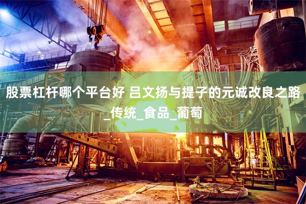 股票杠杆哪个平台好 吕文扬与提子的元诚改良之路_传统_食品_葡萄